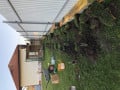 upload_img1