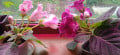 upload_img1