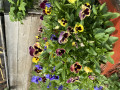 upload_img1