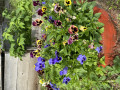 upload_img1