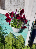 upload_img1