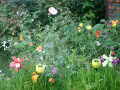 upload_img1