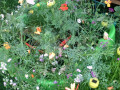 upload_img1