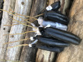 upload_img1