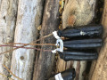 upload_img1