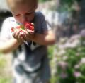 upload_img1
