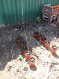 upload_img1