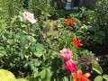 upload_img1