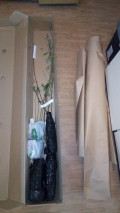 upload_img1