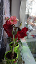 upload_img1