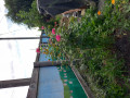 upload_img1
