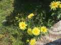 upload_img1