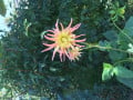 upload_img1