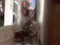 upload_img1