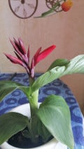 upload_img1