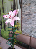 upload_img1