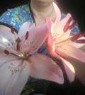 upload_img1