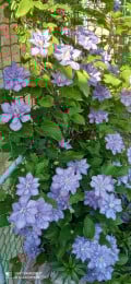 upload_img1