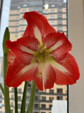 upload_img1
