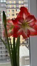 upload_img1