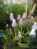 upload_img1