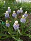 upload_img1