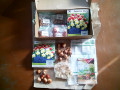 upload_img1