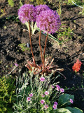 upload_img1