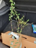 upload_img1
