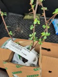 upload_img1
