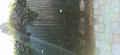 upload_img1