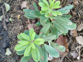 upload_img1