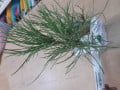 upload_img1