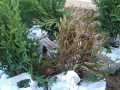 upload_img1