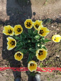upload_img1