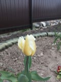 upload_img1