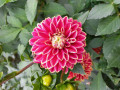 upload_img1