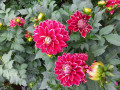 upload_img1