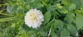 upload_img1