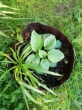 upload_img1