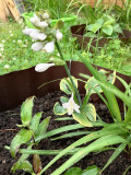 upload_img1