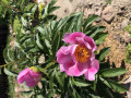 upload_img1