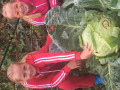 upload_img1