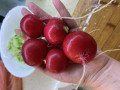 upload_img1