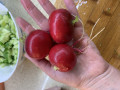 upload_img1