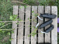 upload_img1