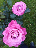 upload_img1