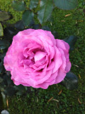upload_img1