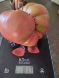 upload_img1