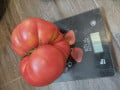 upload_img1